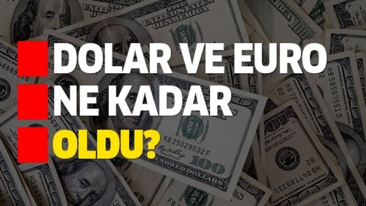 Euro 20,22 liradan, sterlin 22,88 liradan haftaya başladı