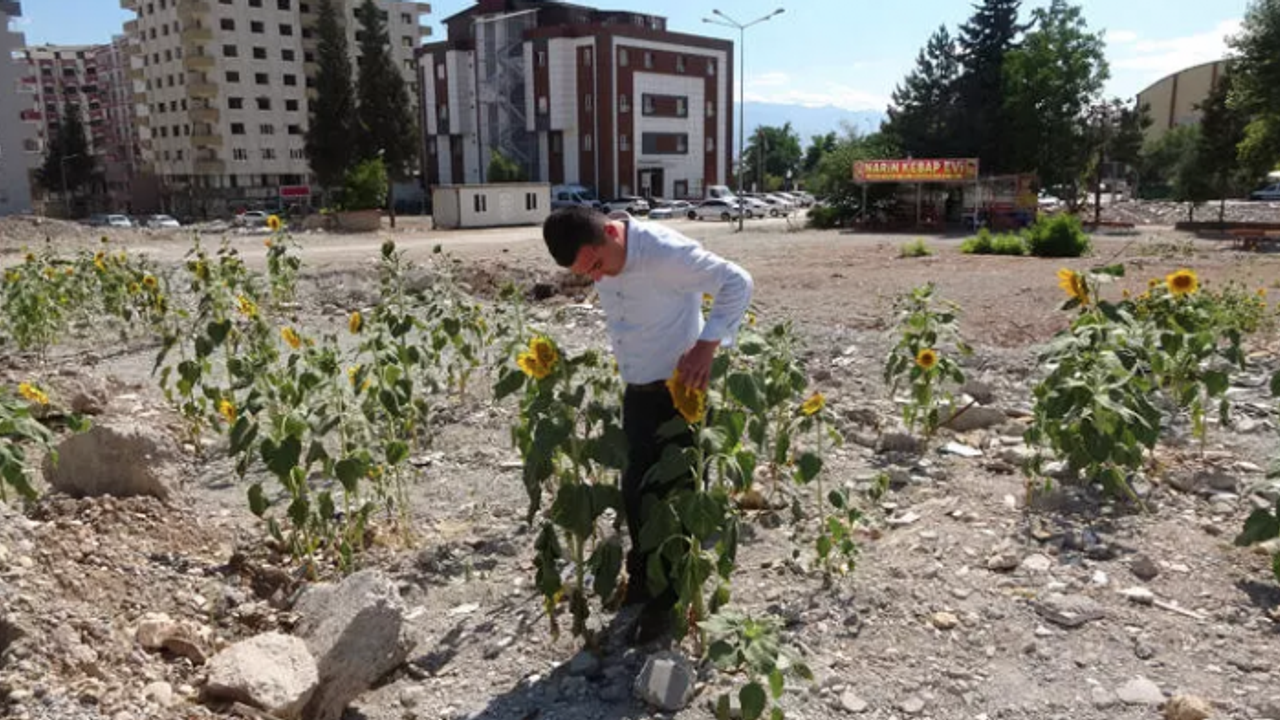 'Demek ki burda bir şeyler yeşerecek'  Enkazın arasında duygulandıran an