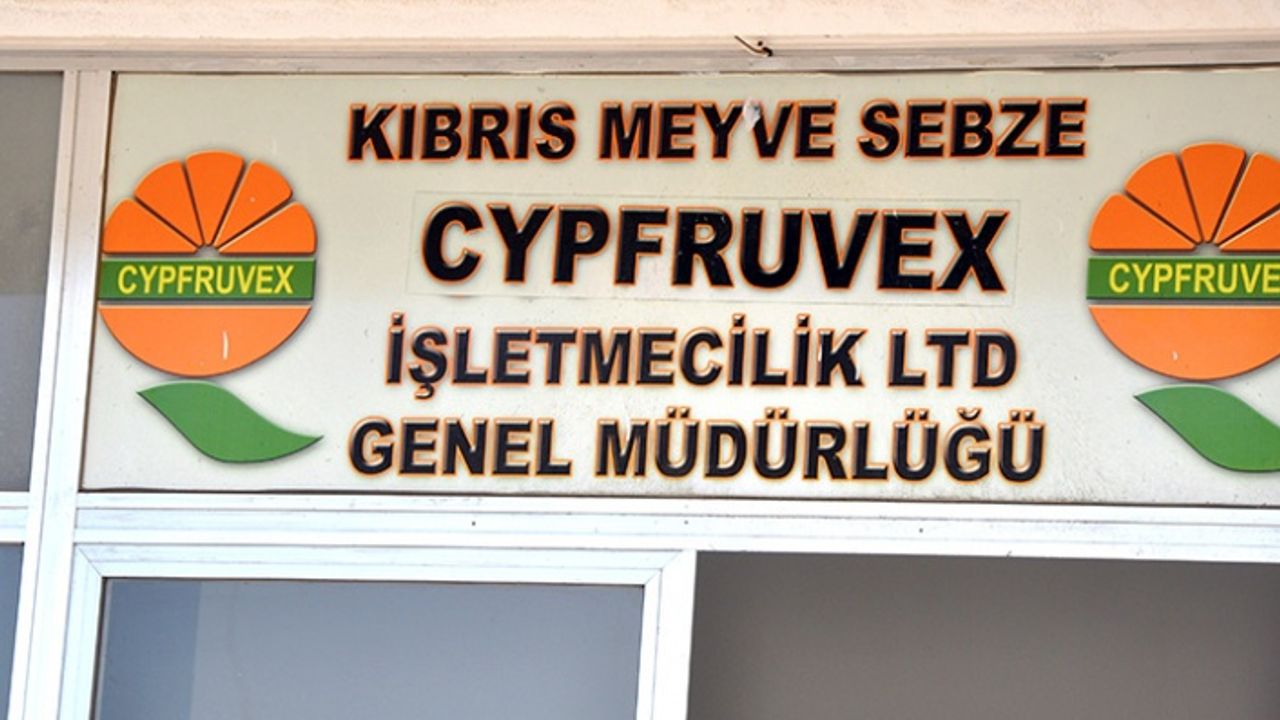 Valensiya ürününü Cypfruvex Ltd.’e satan narenciye üreticileri ödeniyor