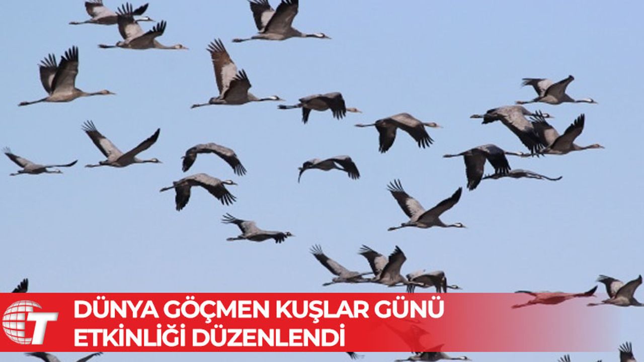 Her Daim Doğa Dostları tarafından Dünya Göçmen Kuşlar Günü etkinliği düzenlendi