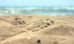 Limasol sahillerinde kum piresi alarmı