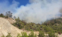 Mersinlik-Tatlısu’daki yangına havadan 2 helikopterle müdahale ediliyor!