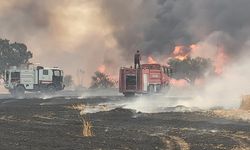 Vadili'de 150 dönümlük ormanlık alan kül oldu