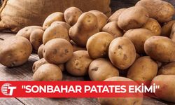 Sonbahar patates ekimi yapılan araziler için son beyan tarihi 15 Ekim