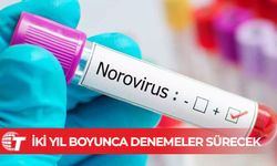 Norovirüs aşısı için ilk denemeler başladı