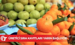 Cypfruvex duyurdu: Üretici sıra kayıtları yarın başlıyor