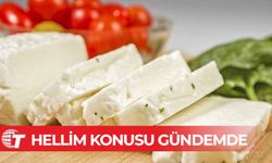 Hellim konusu Rum Meclisi Tarım Komitesi’nde ele alındı