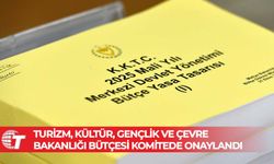 Başbakan Yardımcılığı, Turizm, Kültür, Gençlik ve Çevre Bakanlığı bütçesi komitede onaylandı