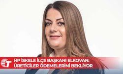 HP İskele İlçe Başkanı Elkovan: Üreticiler ödemelerini bekliyor