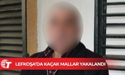 Kaçak mallarla yakalandı