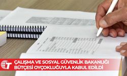 5 milyar 430 milyon 161 bin TL’lik Çalışma ve Sosyal Güvenlik Bakanlığı bütçesi oyçokluğuyla kabul edildi