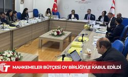 Mahkemeler bütçesi oy birliğiyle kabul edildi