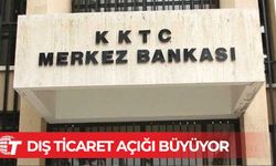 Dış ticaret açığı yüzde 25,24 arttı