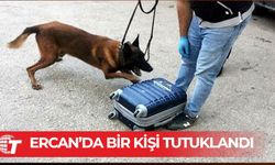 Narko köpek tepki verdi, uyuşturucuyu yakaladı