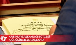 Komitede Cumhurbaşkanlığı bütçesi görüşülmeye başlandı