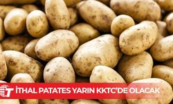 İthal patates yarın KKTC’de olacak