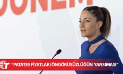 TDP'den hükümete eleştiri