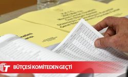 BTHK bütçesi komiteden geçti