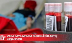 Türkiye'de 40 bin HIV pozitif vaka, 2 bin 300 AIDS hastası bulunuyor