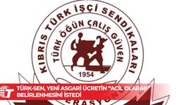 TÜRK-SEN, yeni asgari ücretin “acil olarak” belirlenmesini istedi