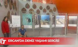 Havalimanında Sergide Tanıtılıyor