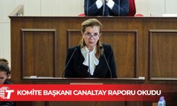 Komite Başkanı Canaltay raporu okudu