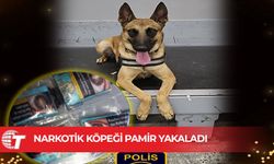 Ercan’a valizde getirilen uyuşturucuyu Narkotik köpeği buldu