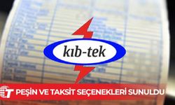 Elektrik borçları için yeni tahsilat düzenlemesi