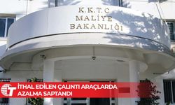 Gümrük ve Rüsumat Dairesi: Son iki buçuk yılda ithal edilen 61 araç çalıntı