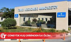 43 yaşındaki Rum kuş gribinden öldü, yoğun bakımda 5 kişi var