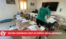 Güzelyurt’ta İsviçre’den gelen ekip 150’nin üzerinde kedi ve köpeği kısırlaştırdı