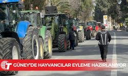 Güney Kıbrıs’ta hayvancılar eyleme hazırlanıyor