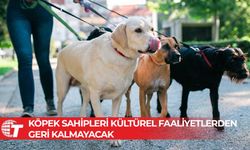 İtalyan müzeleri ziyaretçilerin köpeklerine bakacak