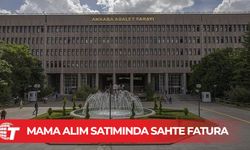 Hayvanseverlerden toplanan 18 milyon lirayı sahte faturayla şahsi hesaplarına aktarmışla