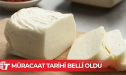 Hellim üretimi için Damızlık Koyun Projesi’ne son müracaat tarihi belli oldu