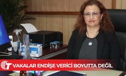 Deren Oygar: Ülkede mevsimsel grip vakaları var, endişe verici boyutta değil