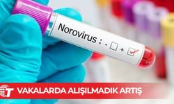 ABD'de norovirüs alarmı