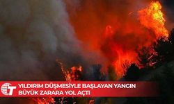 Avustralya'nın Victoria eyaletindeki orman yangınında 65 bin hektar alan zarar gördü