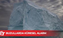 Son 10 yılda kayıp yüzde 36 arttı