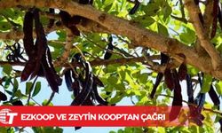 Harupa hak ettiği değerin verilmesi harekete geçilmeli