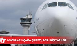 Kuğular uçağa çarptı, acil iniş yapıldı