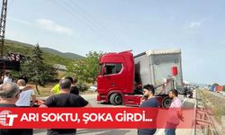 Seyir halindeyken arı soktu: