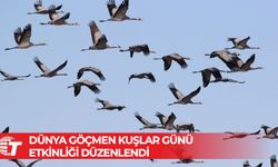 Her Daim Doğa Dostları tarafından Dünya Göçmen Kuşlar Günü etkinliği düzenlendi