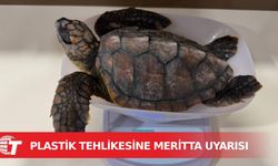 Meritta deniz kaplumbağaları rehabilitasyon merkezi plastik atıkların tehlikelerine dikkat çekti