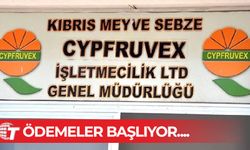 Cypfruvex narenciye ödemelerine başlıyor