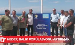 Hedef; balık popülasyonu artırmak