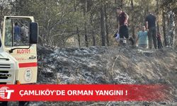 Çamlıköy’de ormanlık alanda yangın: 10 Dönümlük alan zarar gördü !