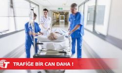Acı haber... Trafiğe bir can daha!