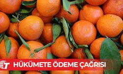 Narenciye üreticilerinden hükümete ödeme çağrısı