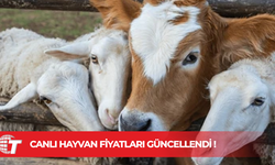 Hayvan Üreticileri Birliği: Fiyat Artışının Sorumlusu Biz Değil, Tarım Bakanı’nın Yanlış Politikalarıdır